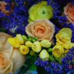 DSC05428