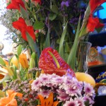 DSC05429