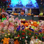 DSC05430