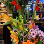DSC05437