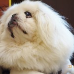 DSC05441