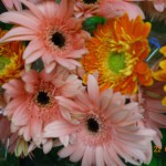 DSC05442