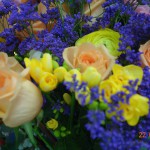 DSC05445