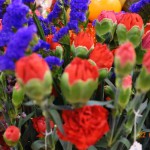DSC05448