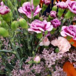 DSC05450