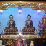 DSC05460