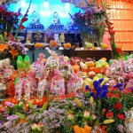DSC05464
