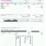 electric fee 001