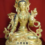 A2白度母