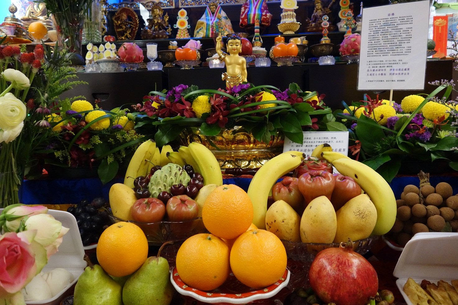 DSC01950